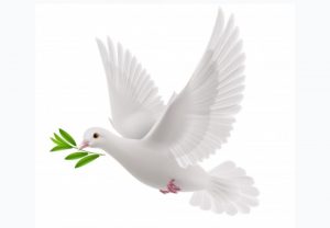 Més informació sobre l'article A l’entorn de la pau
